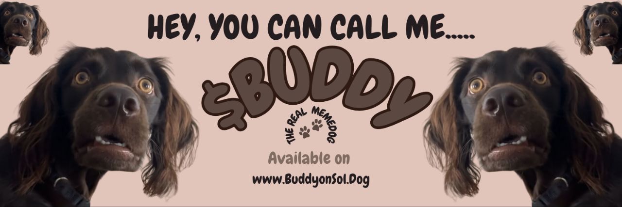 Buddy banner