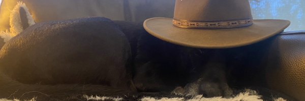 Libertarian State Discourse 🐍🦔🚁 banner