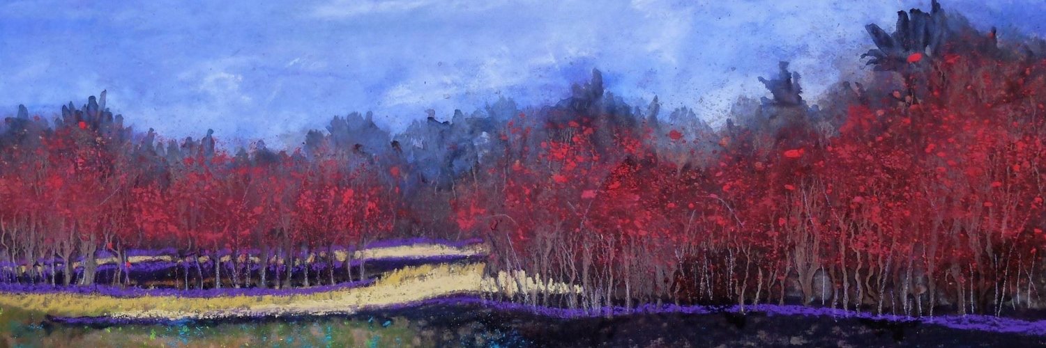 judebirch's profile banner image
