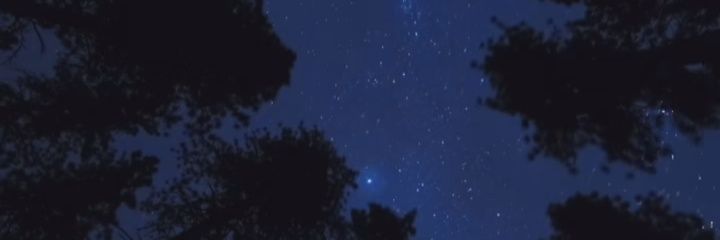 emerald_202's profile banner image