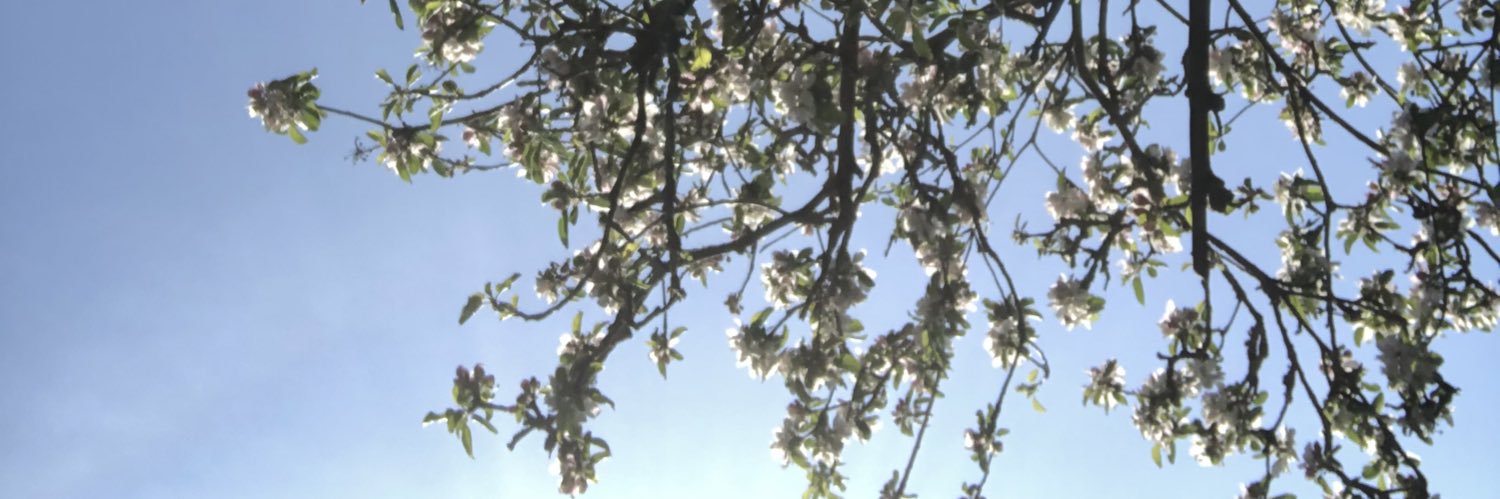 N3LBO's profile banner image
