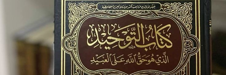 اُمِ مہرالنساء's banner