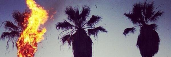 Boldt's profile banner image