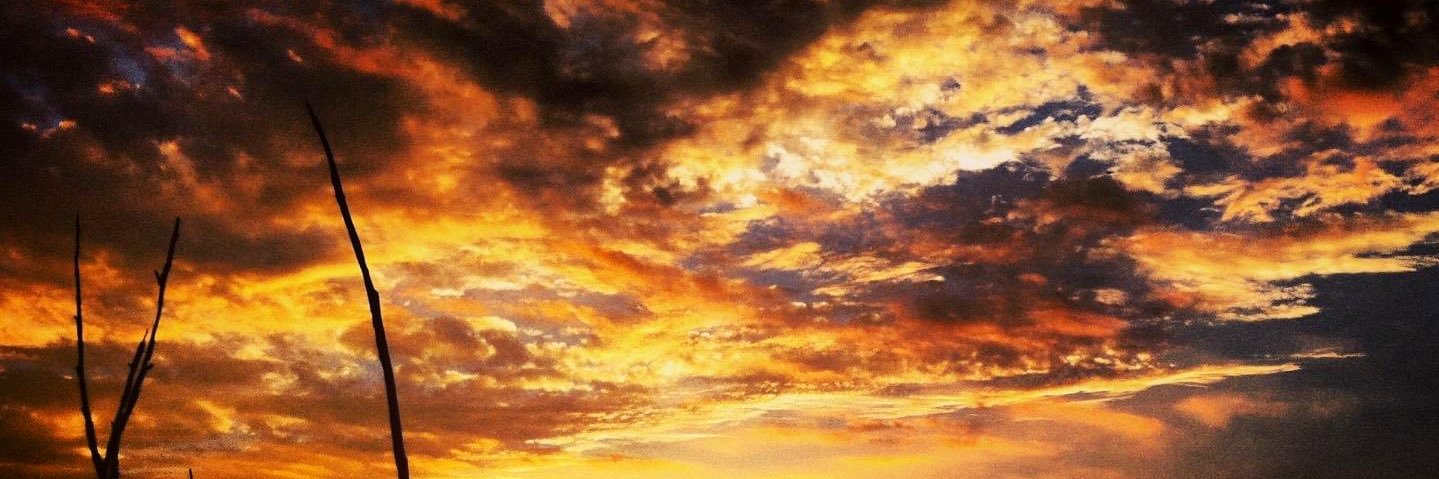 Brigitte Jean-Louis banner