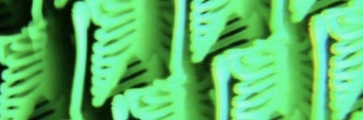 ammie wheaton (still probably on hiatus) banner