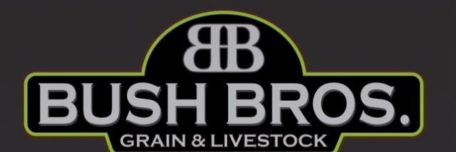 andybush75's profile banner image