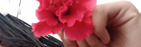 anacfelix Profile Banner