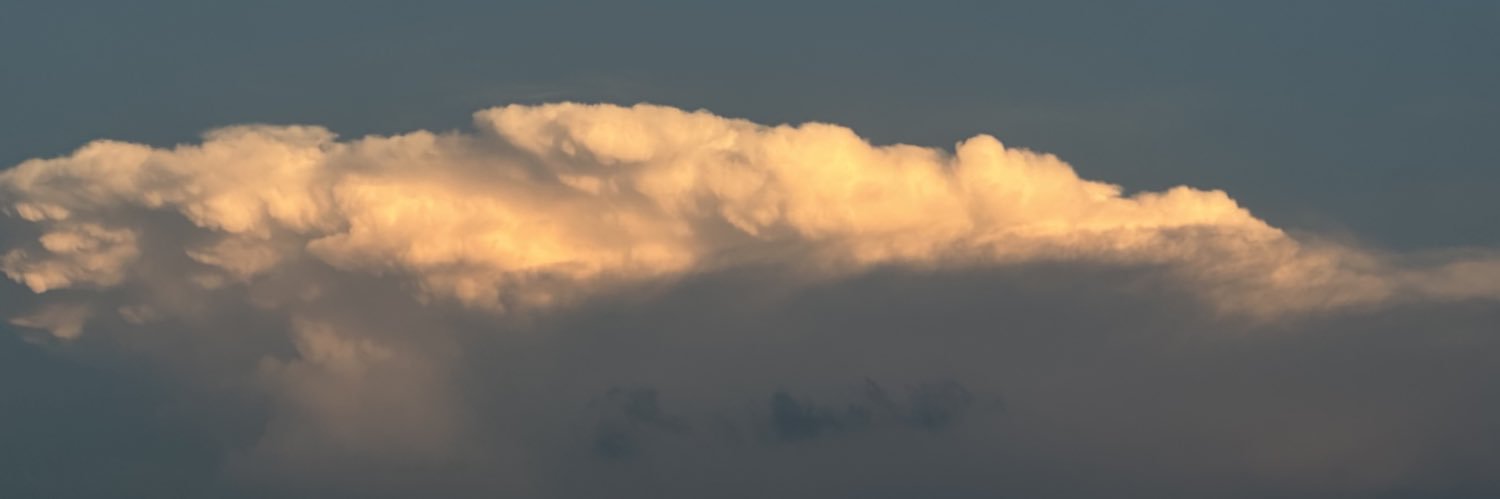 t5ti_'s profile banner image
