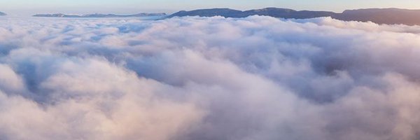 fly_honeycomb Profile Banner