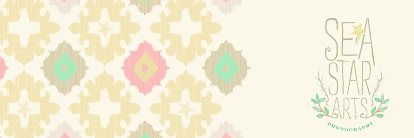 SeaStarArts's profile banner image