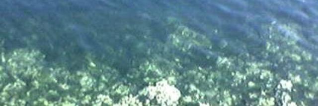 sehhecht's profile banner image