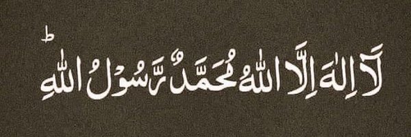 AlamAnsari21 Profile Banner
