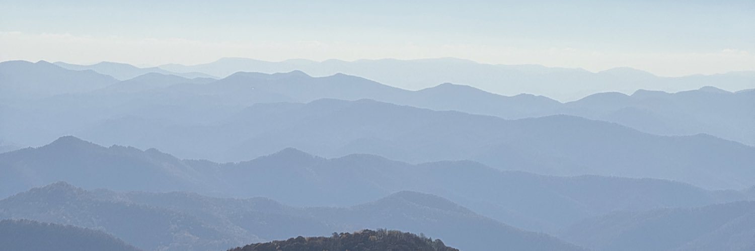 DangleDiddys's profile banner image