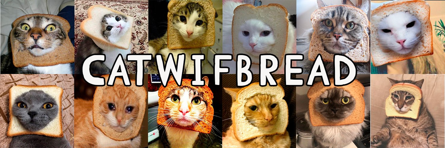 CatWifBread banner
