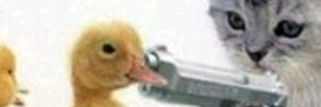 Bread Simulator banner