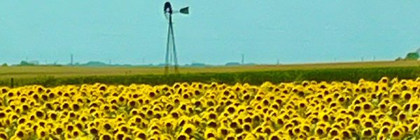 jrouse Profile Banner