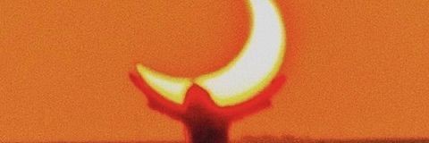 Waweru Sandra Wanjiku banner