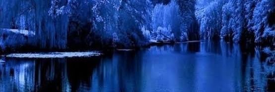 Chandni Sharma🌷 banner