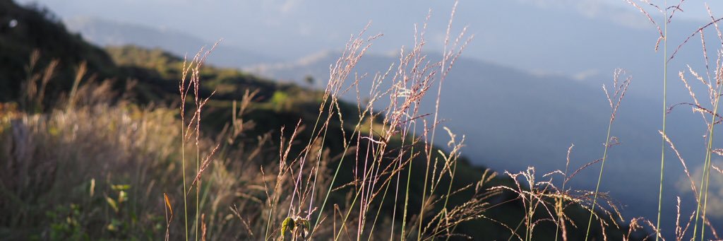 chezcst's profile banner image