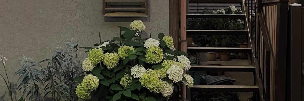 Rui777f's profile banner image