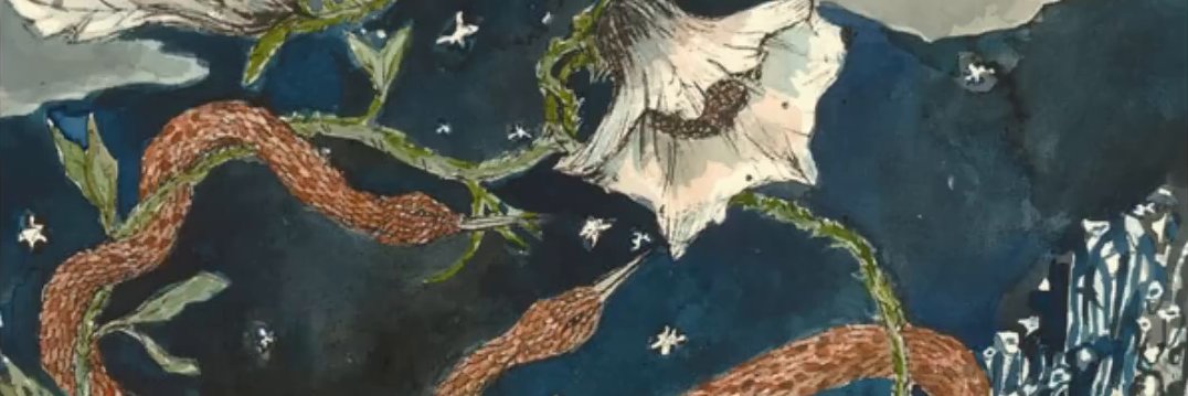 Lemonide 🐍🐧 banner