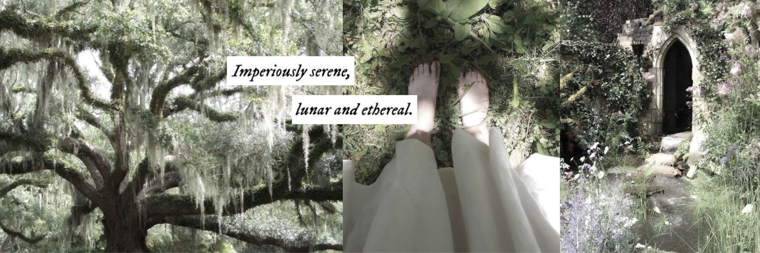 Ambrose. banner
