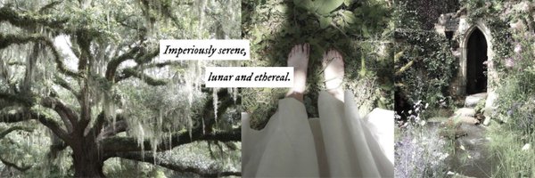 sylvanvows Profile Banner