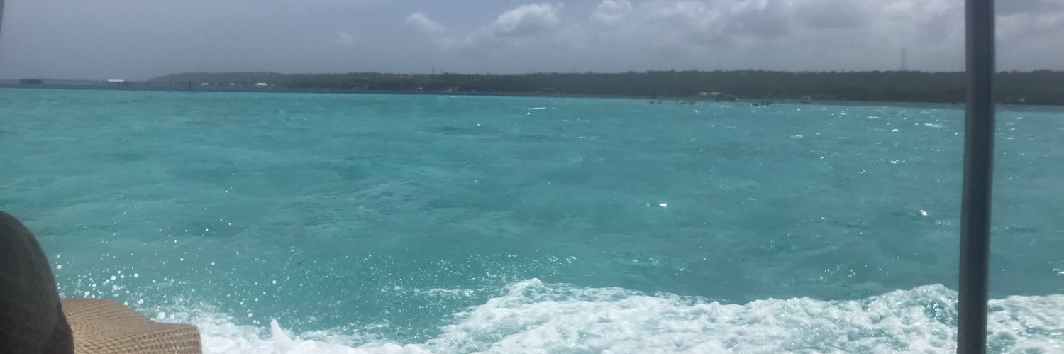 lauperottib's profile banner image
