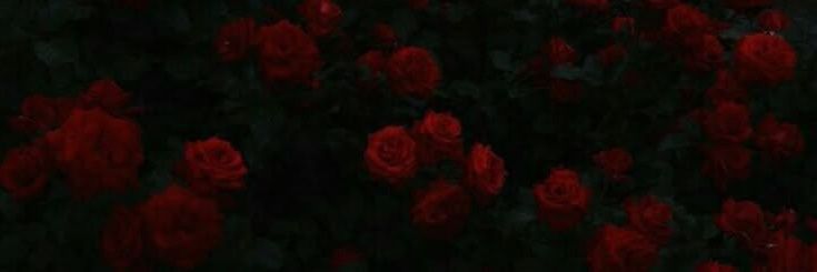 Maisa banner