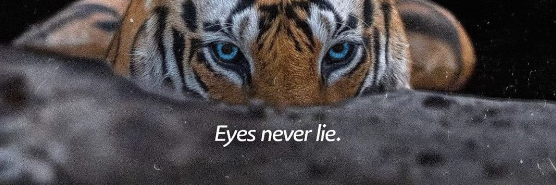 Only ojo's banner