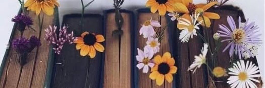 fatima 🚂🐶 banner