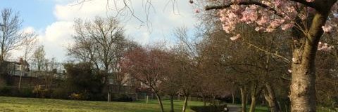 Hillside Gardens Park banner