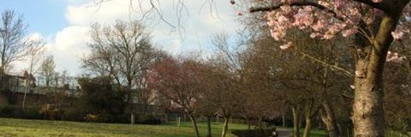 HillsideGdns Profile Banner