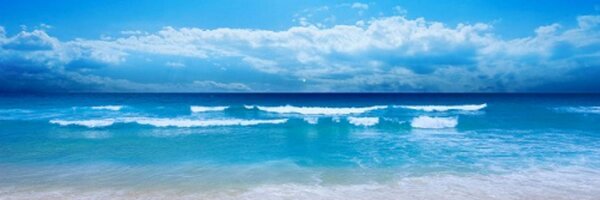 GWP Profile Banner