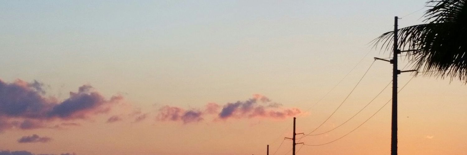 fyrnik's profile banner image
