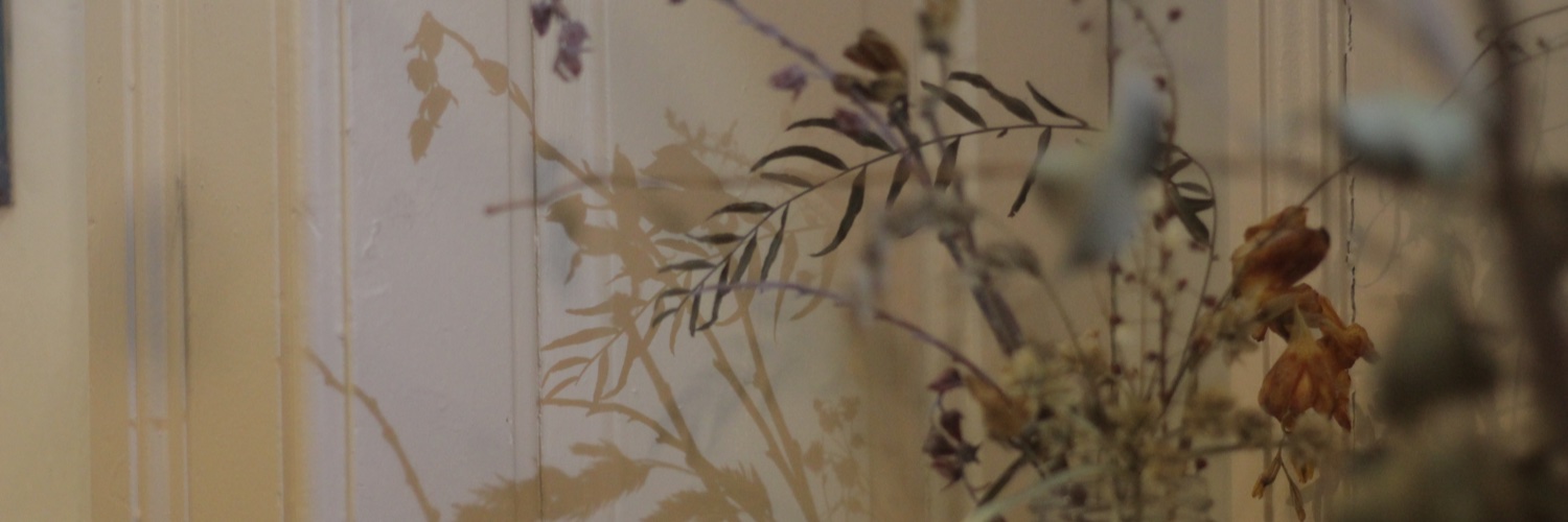 catasantero's profile banner image