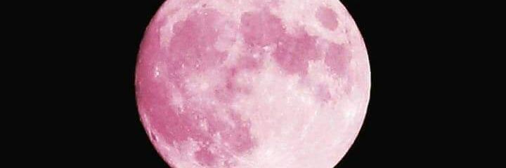 🌻 banner