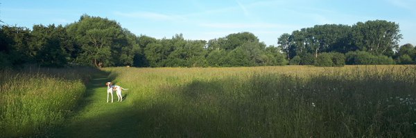 karen___gee Profile Banner