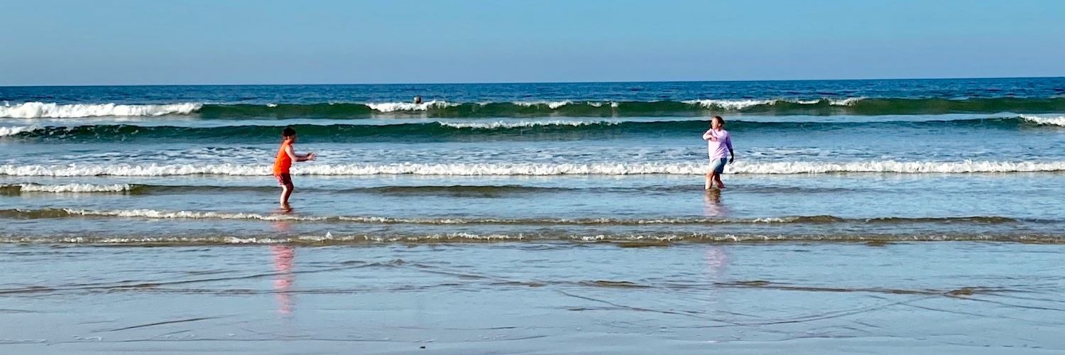 amyjfoster's profile banner image