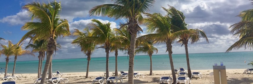 Pankeallende's profile banner image