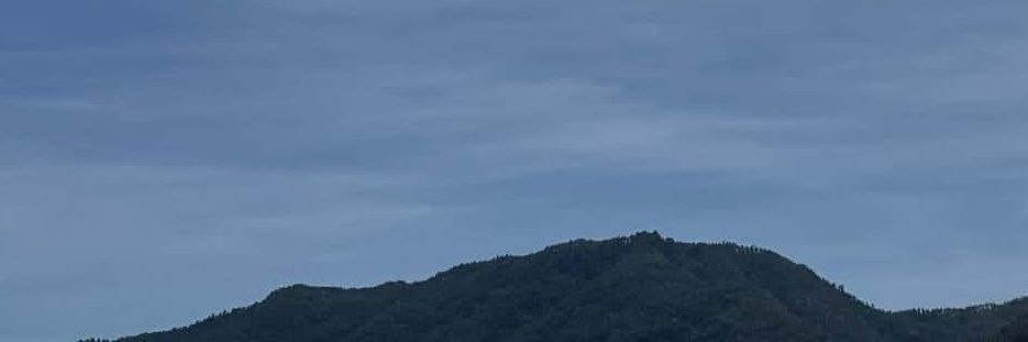 tropa banner