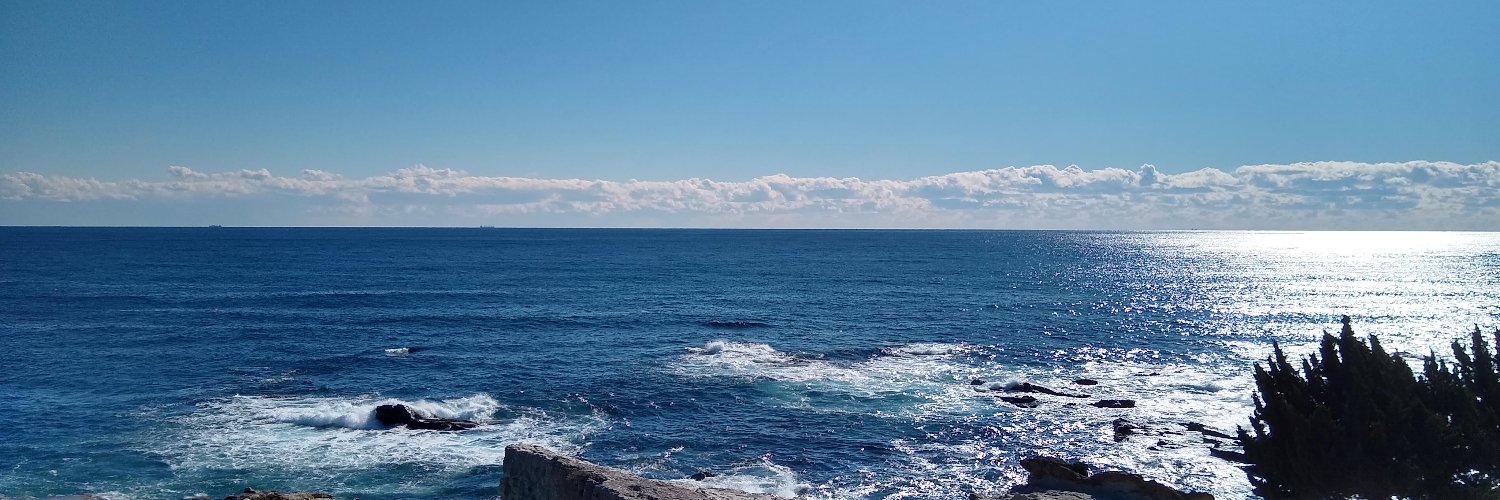 seaperch_jp's profile banner image