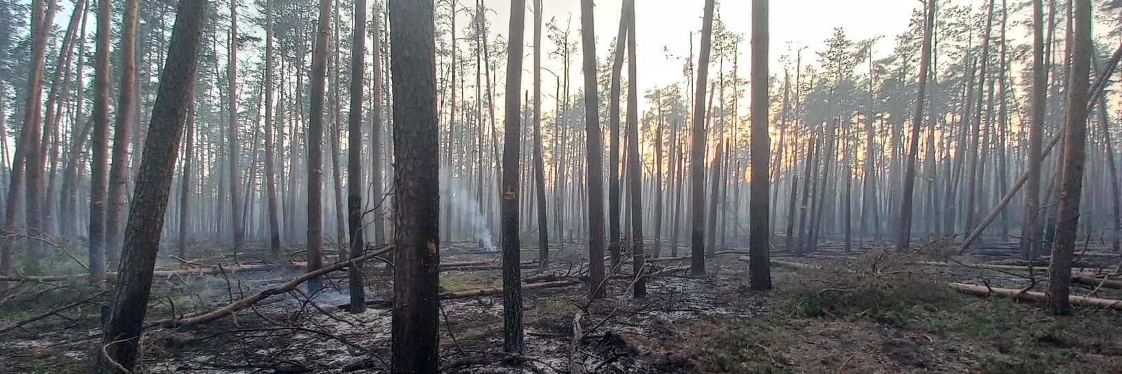 Ⓐ Мілітарна деструктура ☠️ banner