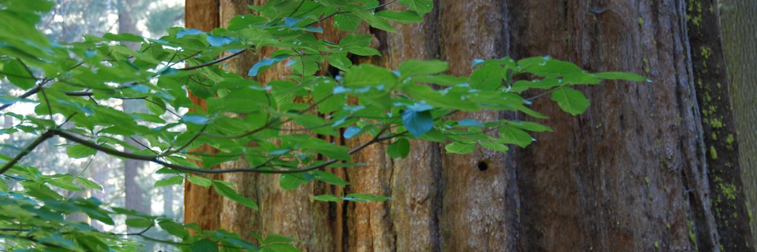 António Filipe Fonseca banner