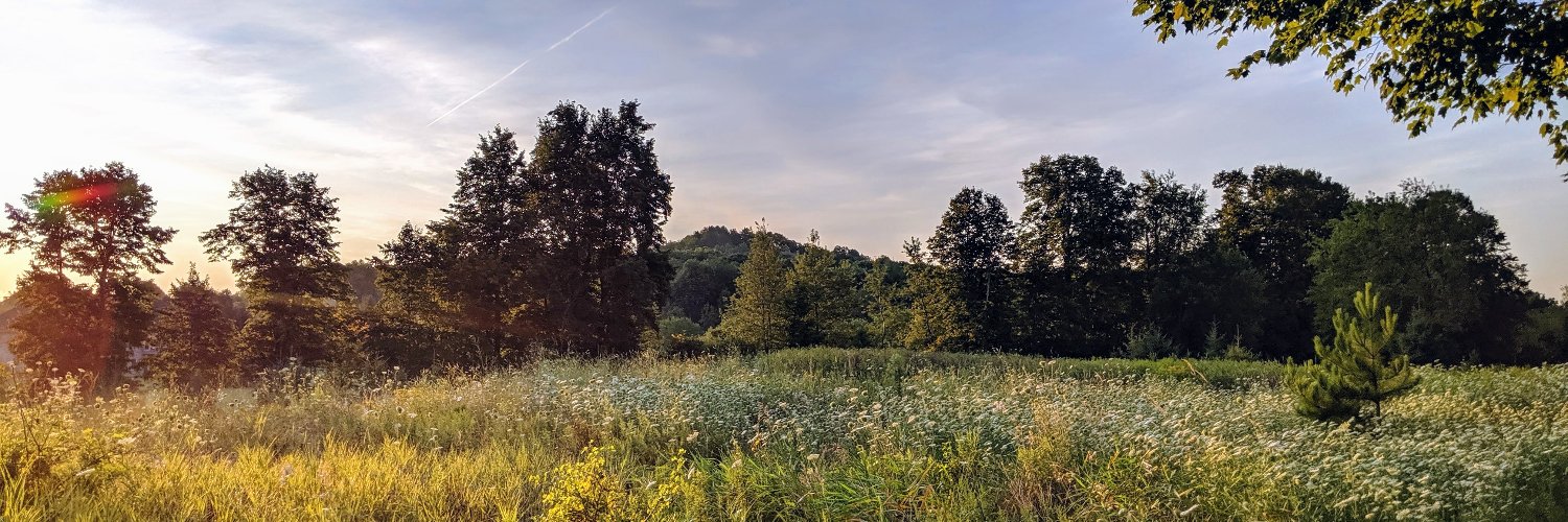 hagoesch's profile banner image