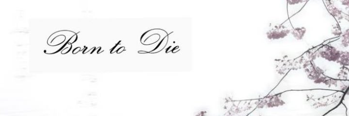 SIlhamova's profile banner image