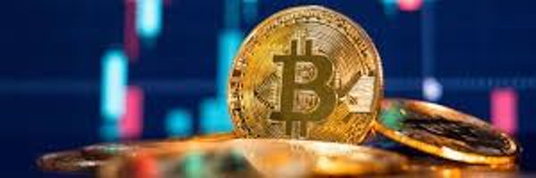 BitCoin_Eexprt Profile Banner
