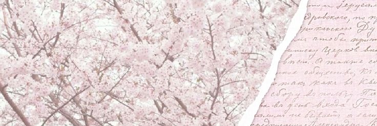 kiilm1sy's profile banner image