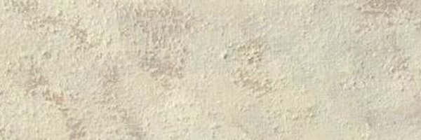 studyyx Profile Banner