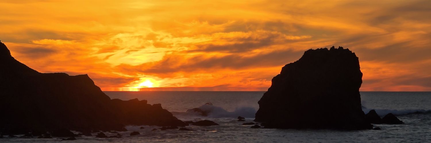 NNJAMIC The Defiant banner